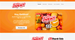 Desktop Screenshot of bayrakgida.com